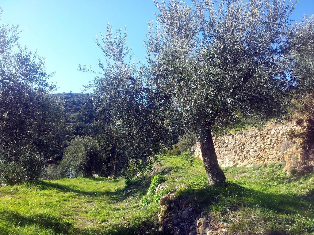 Agriturismo C'Era Una Volta Camporosso  Zewnętrze zdjęcie