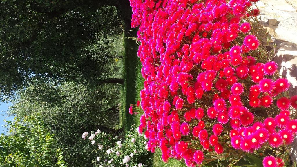 Agriturismo C'Era Una Volta Camporosso  Zewnętrze zdjęcie